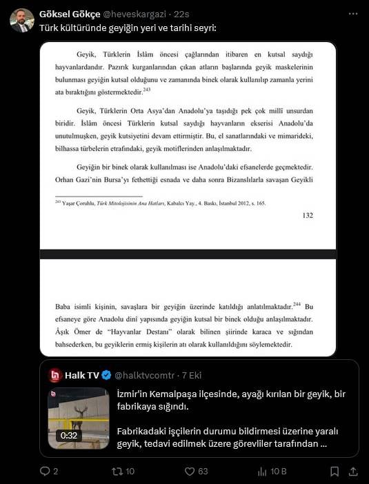 Yaralı geyik Kemalpaşa'da toynağını yere vurup selamlar gibi çöktü! Türk mitolojisinde yaralı geyik ne anlama geliyor? 15